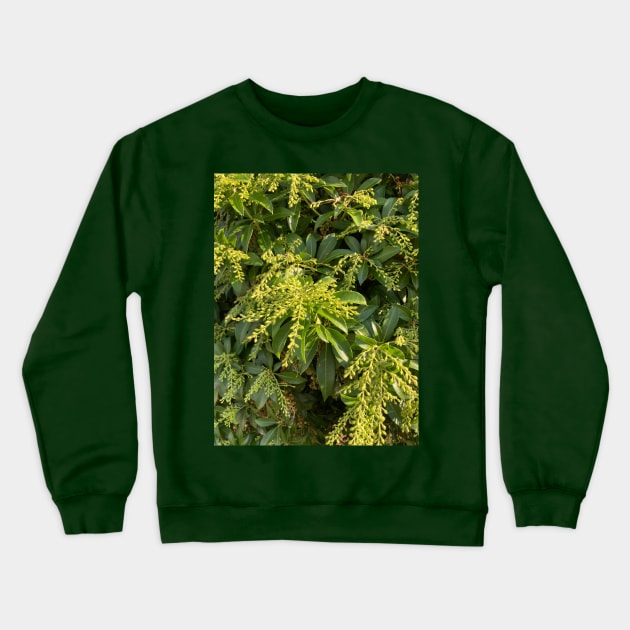 Foliage Crewneck Sweatshirt by Amanda1775